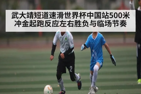 武大靖短道速滑世界杯中国站500米冲金起跑反应左右胜负与临场节奏