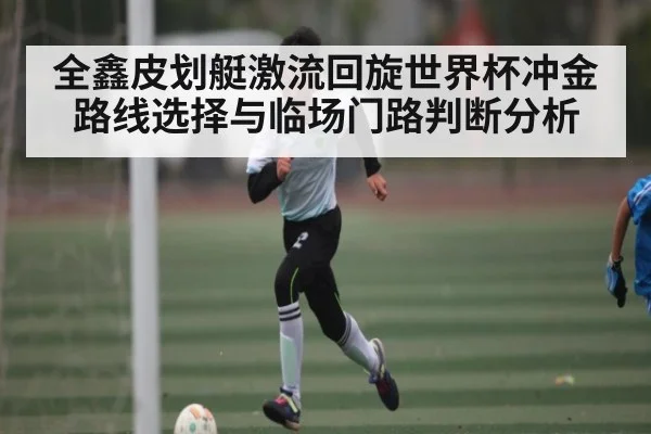 全鑫皮划艇激流回旋世界杯冲金路线选择与临场门路判断分析